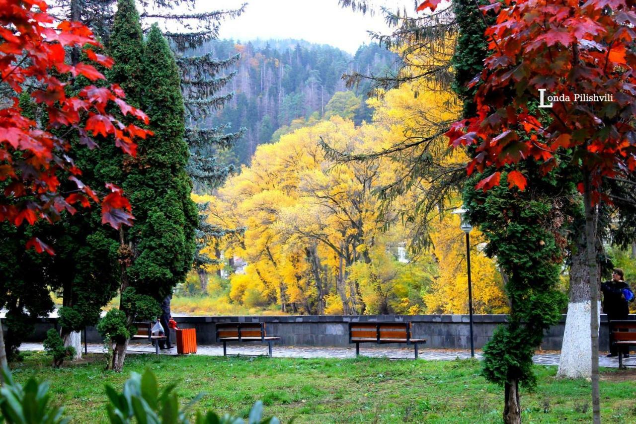 Apartament Sofia Daire Borjomi Dış mekan fotoğraf